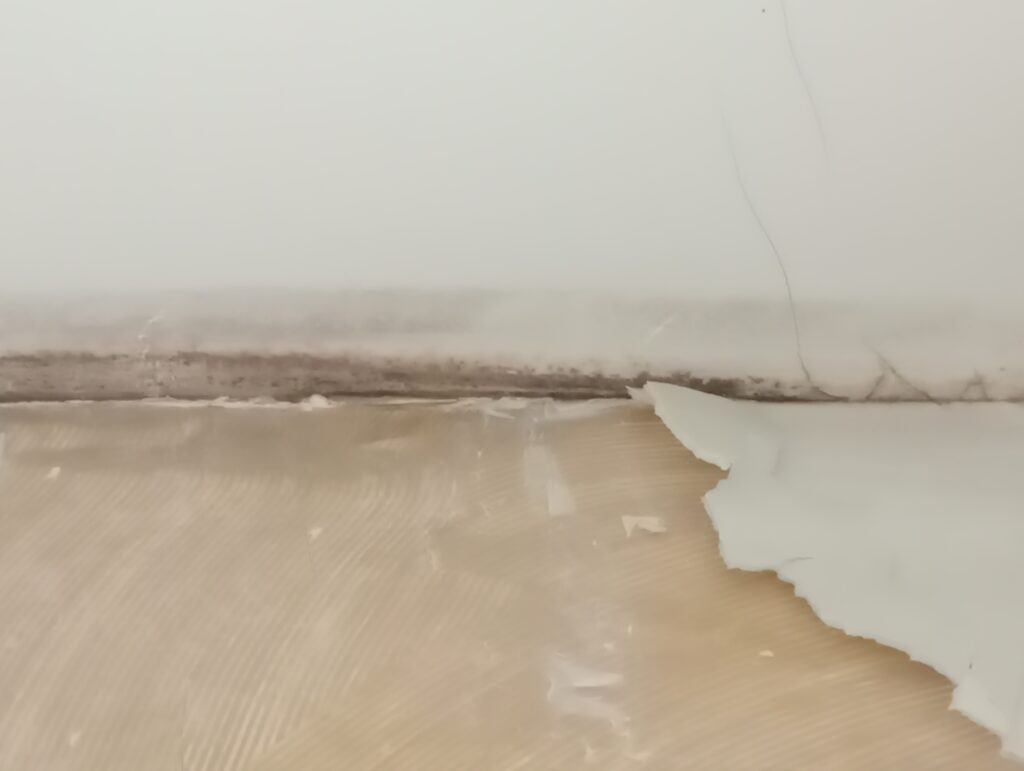 muffa sul soffitto e sotto isolante termico Brescia - DAKSI Specialisti contro muffe umidità pareti fredde