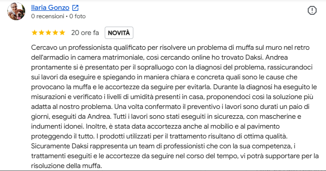 ilaria gonzo recensione DAKSI